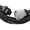 Trans Wire Harness GM 4L60 Pre 2009 - 4L80