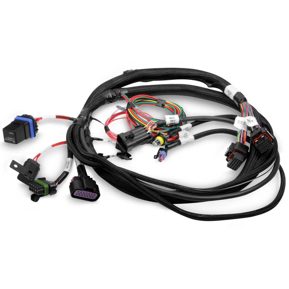 HARNESS, TERMINATOR MAIN