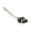CAN ADAPTER HARNESS M/F 1 FOOT