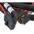 GM 4L60 (2009+) TRANS HARNESS