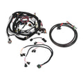 HARNESS KIT, LS2/3/7, 58X, BOSCH/JETRONI