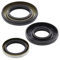 Vertex Pistons auto part