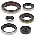 Vertex Pistons auto part
