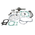 Vertex Pistons auto part