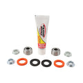 Pivot Works shock absorber