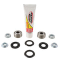 Pivot Works shock absorber