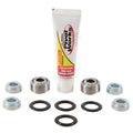 Pivot Works shock absorber