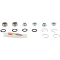 Pivot Works shock absorber