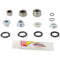 Pivot Works shock absorber