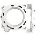 Cylinder Works auto part