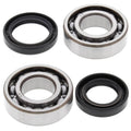 All Balls Racing auto part