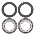 All Balls Racing auto part