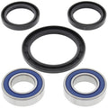 All Balls Racing auto part