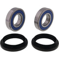 All Balls Racing auto part