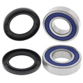 All Balls Racing auto part