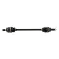 All Balls Racing auto part