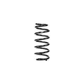 Eibach springs detail