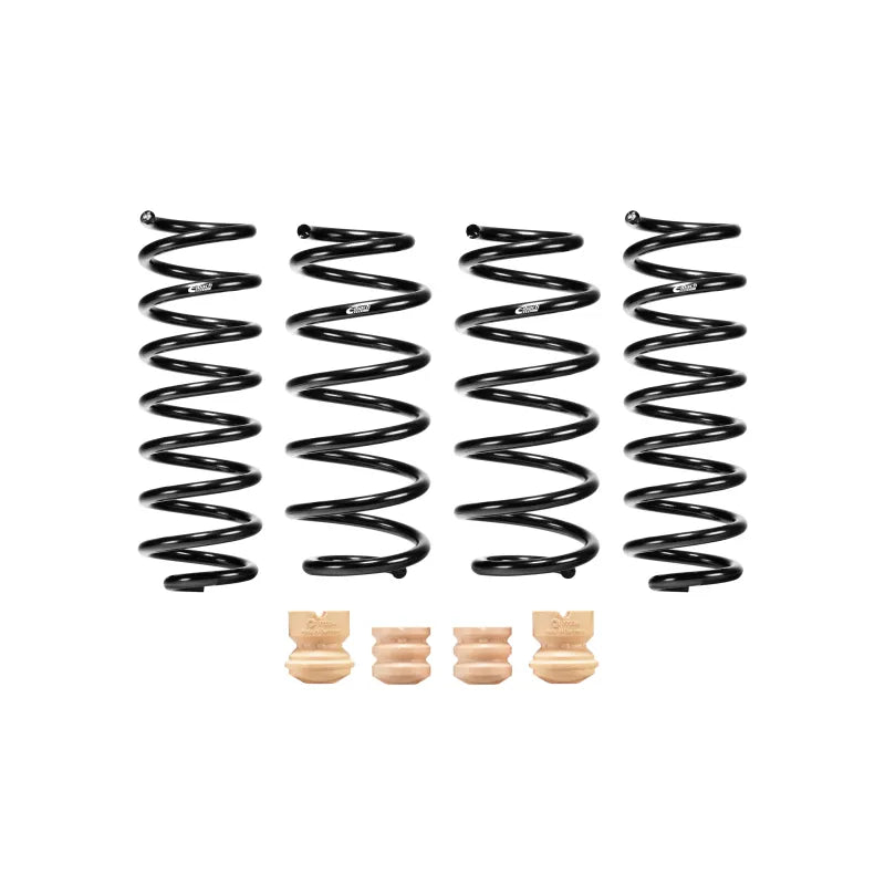 Eibach springs