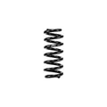Eibach springs close-up
