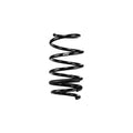 Eibach springs detail