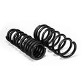 Eibach springs detail