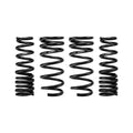 Eibach springs