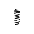 Eibach springs