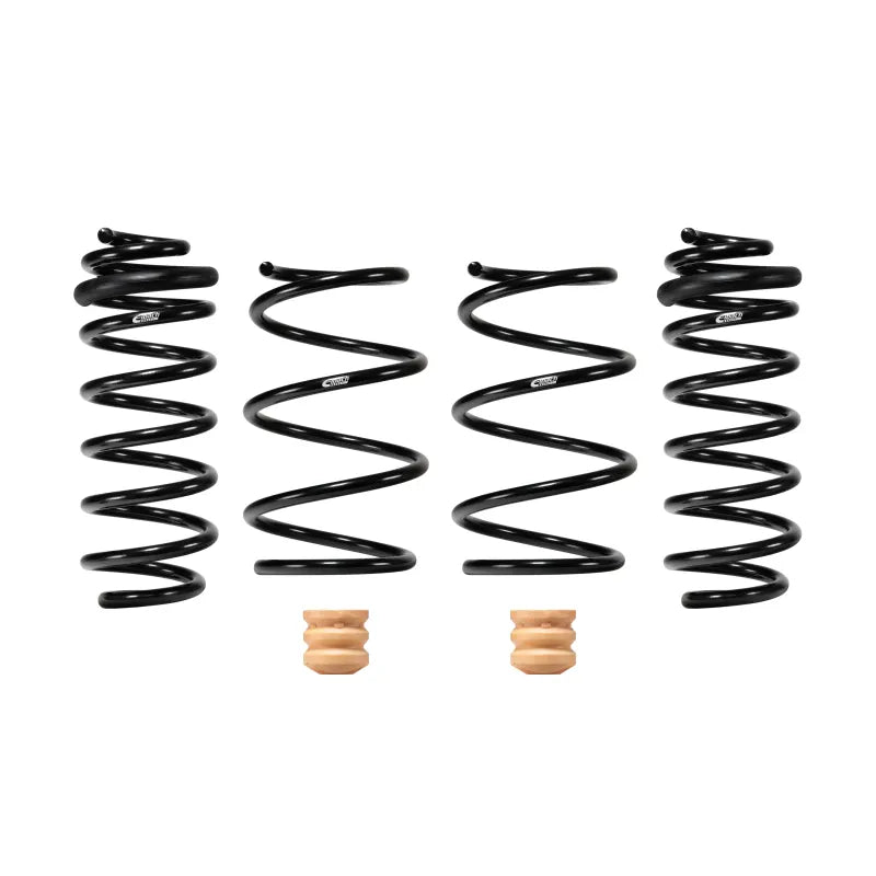 Eibach springs
