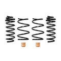 Eibach springs