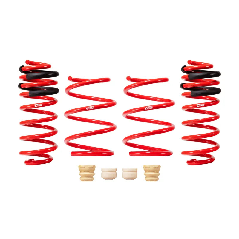 Eibach springs