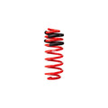 Eibach springs