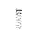 Eibach springs