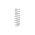 Eibach springs detail