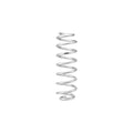 Eibach shock absorber
