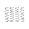 Eibach shock absorber