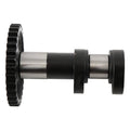 Hot Cams exhaust