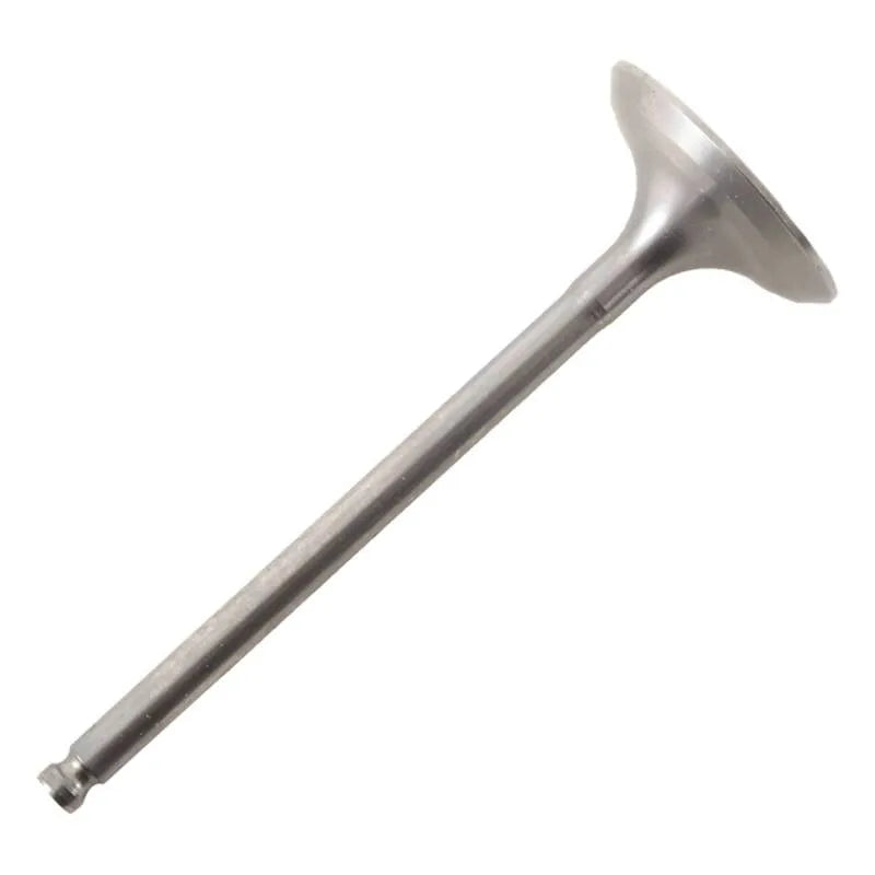 Hot Cams titanium intake system