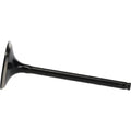 Hot Cams exhaust
