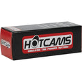 Hot Cams exhaust close-up