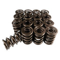 COMP Cams springs