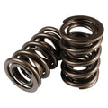 COMP Cams springs detail