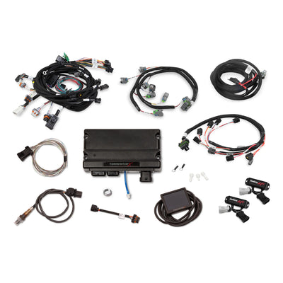 Terminator X MPFI Kit Ford Mod Motor 4V