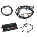 DOMINATOR EFI KIT, FORD