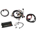 DOMINATOR EFI KIT, LS1 W/ TRANS CONTROL