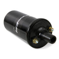 IGNITION COIL, CANNISTER