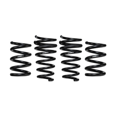 Eibach springs