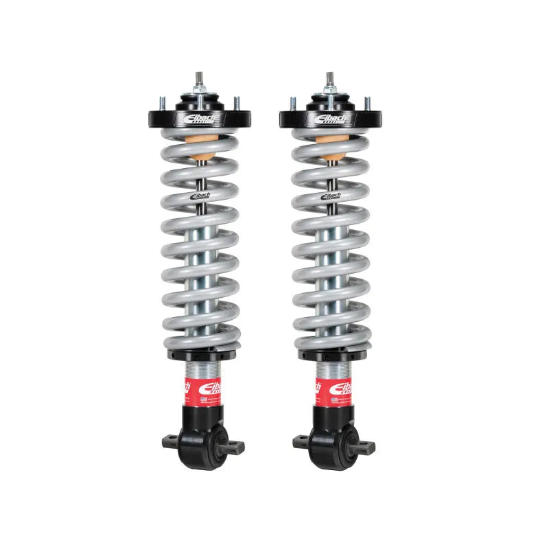 Eibach silver coilovers