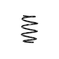 Eibach springs