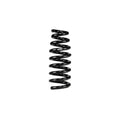 Eibach springs detail