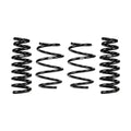 Eibach springs